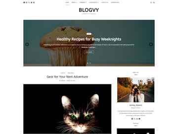 Blogvy wordpress theme