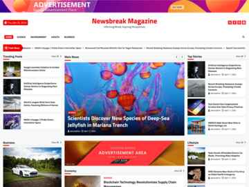 Newsbreak Magazine wordpress theme